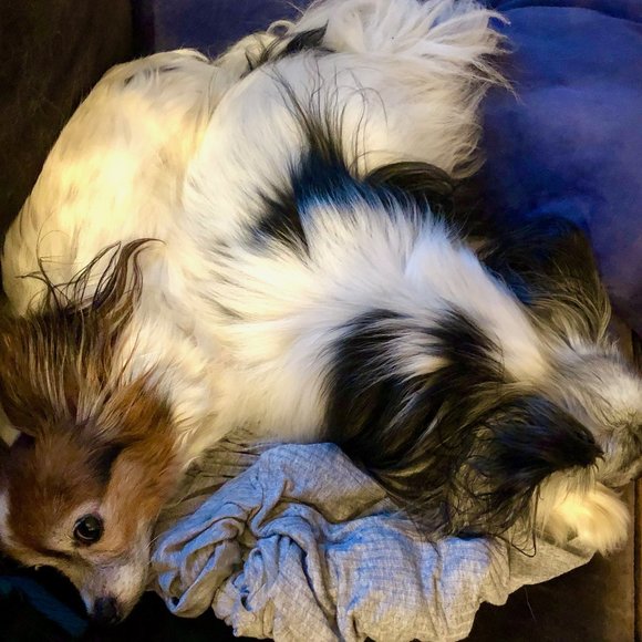 Meet your Posher, Sarah - Picture 16 of 16